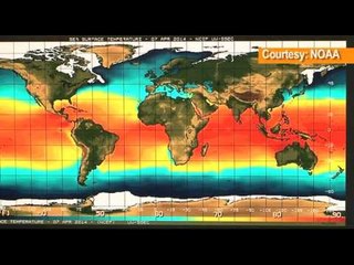 El Nino coming back?