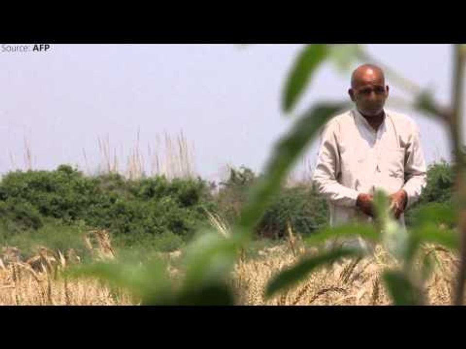 Monsoon likely to be below normal this year, says IMD