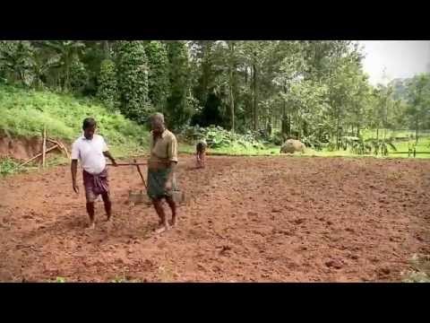 Mint index of rural distress shows deepening crisis in villages