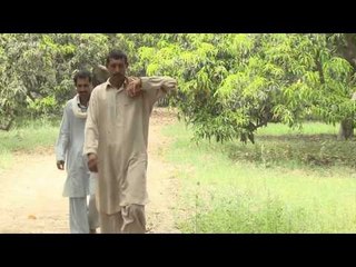 Who will get this year’s monsoon forecast right?