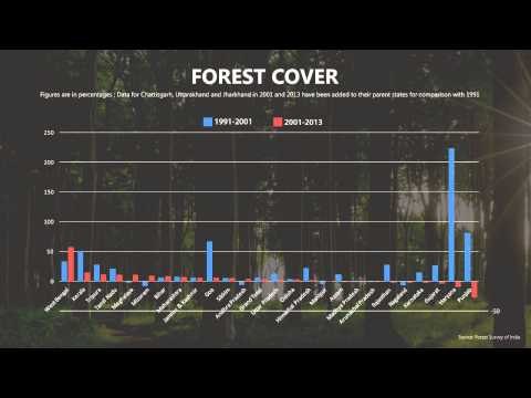 Will forest-based awards to states save the environment?