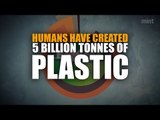 Humans have created 5 billion tonnes of plastic