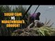 Sugar cane vs Marathwada’s drought