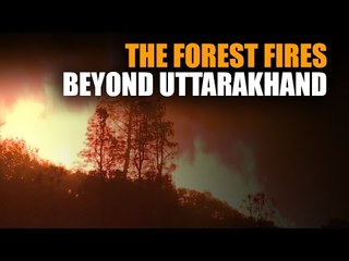 Why Uttarakhand is not the epicentre of India's forest fires