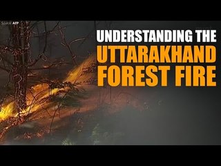 Understanding the Uttarakhand forest fire