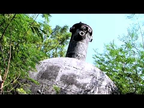 Remembering Bhopal | Doctor's horror