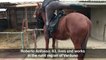 Italian doctor makes house calls on horseback