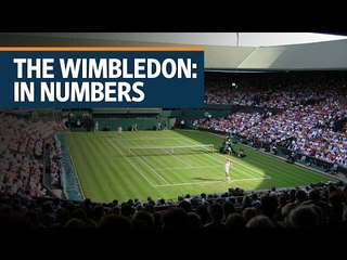 The Wimbledon: In numbers