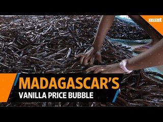 Madagascar rides vanilla price bubble