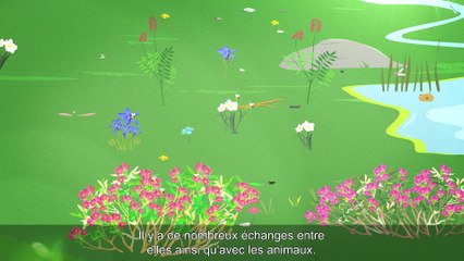 Ça chauffe en montagne ! Et pour les animaux ? (sous-titré)