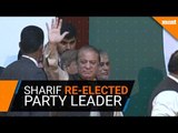 Ousted Nawaz Sharif re-elected leader of ruling party