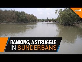 Banking  in Sunderbans, a struggle