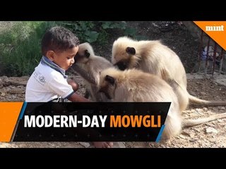 Download Video: Modern-day Mowgli: Toddler in Karnataka village forges bond with monkeys