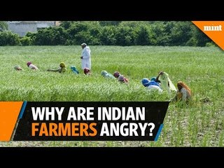 Why is the Indian farmer angry?