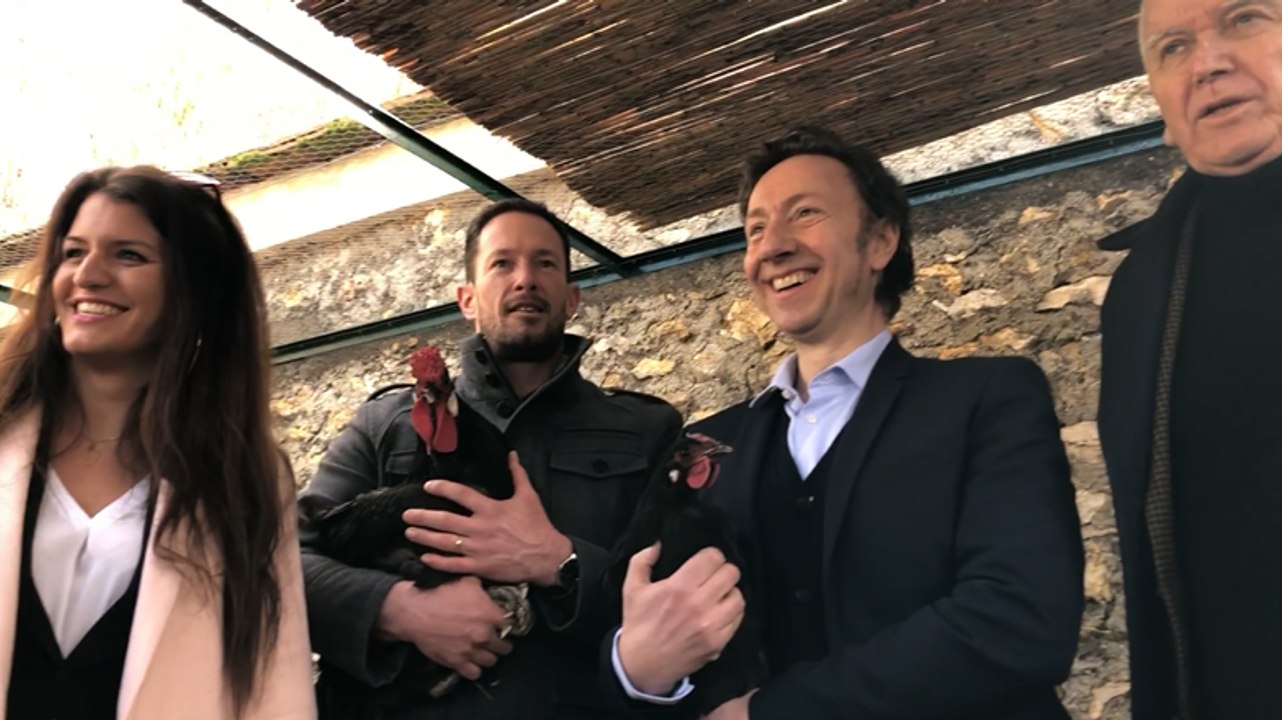 La poule Le Mans retrouve Versailles