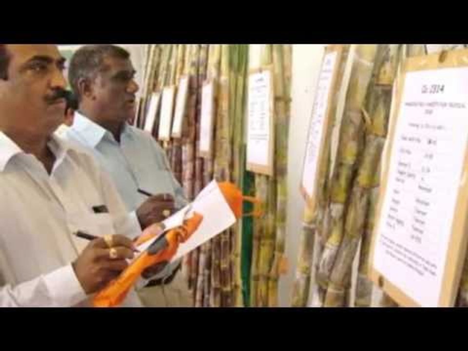 BJP-Shiv Sena government of Maharashtra may be staring at its first major economic challenge