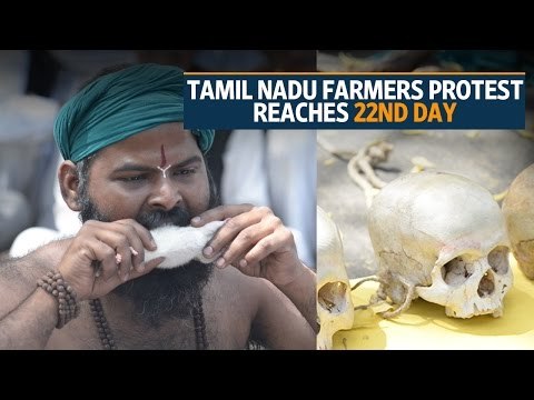 Tamil Nadu farmers on strike for loan waiver, drought relief package