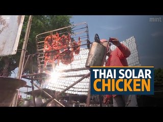 Thai solar chicken - a hot hit