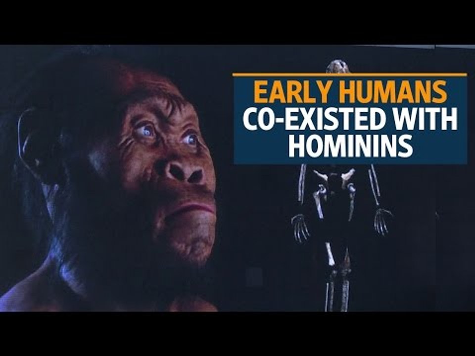 Fossils suggest hominids may have lived alongside humans