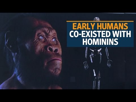 Fossils suggest hominids may have lived alongside humans