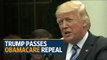 Donald Trump savours win as US House passes Obamacare repeal