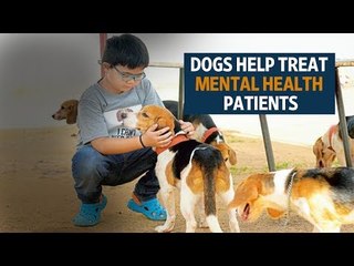 Dogs help treat mental health patients in hospital