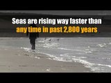 Seas are rising way faster than any time in past 2,800 years