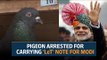 Pigeon arrested for carrying 'Lashkar-e-Taiba' note for Prime Minister Narendra Modi
