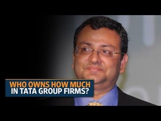 Who owns how much in Tata group firms?