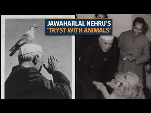Children's Day: Jawaharlal Nehru's ‘tryst with animals’