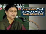 What are the challenges for Tamil Nadu's chief minister-elect Sasikala Natrajan?