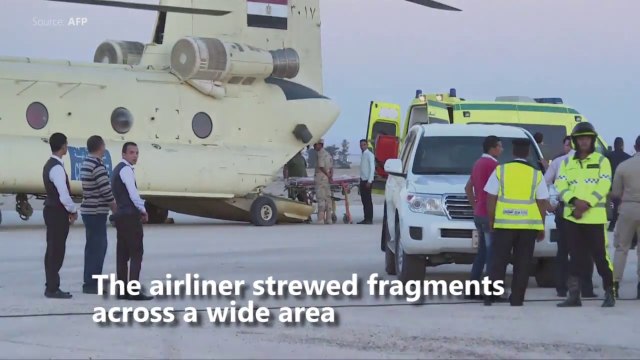 Russian plane broke up ‘in the air’ says expert probing crash