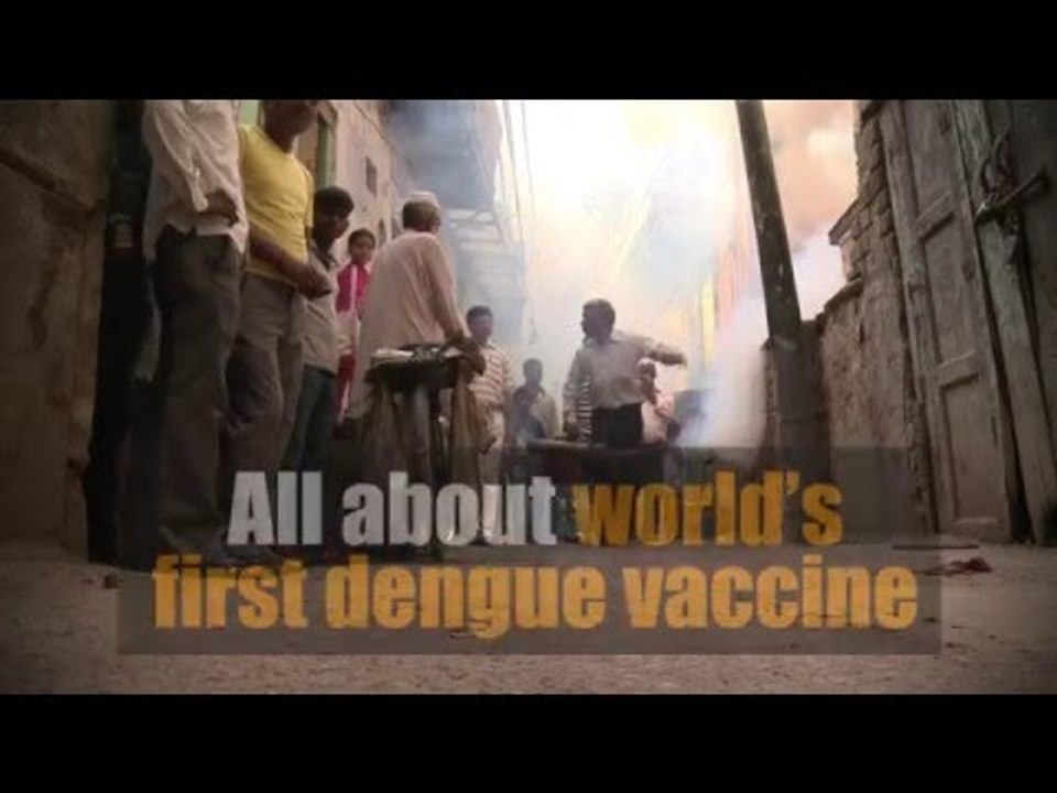 All about world's first dengue vaccine in 60 seconds