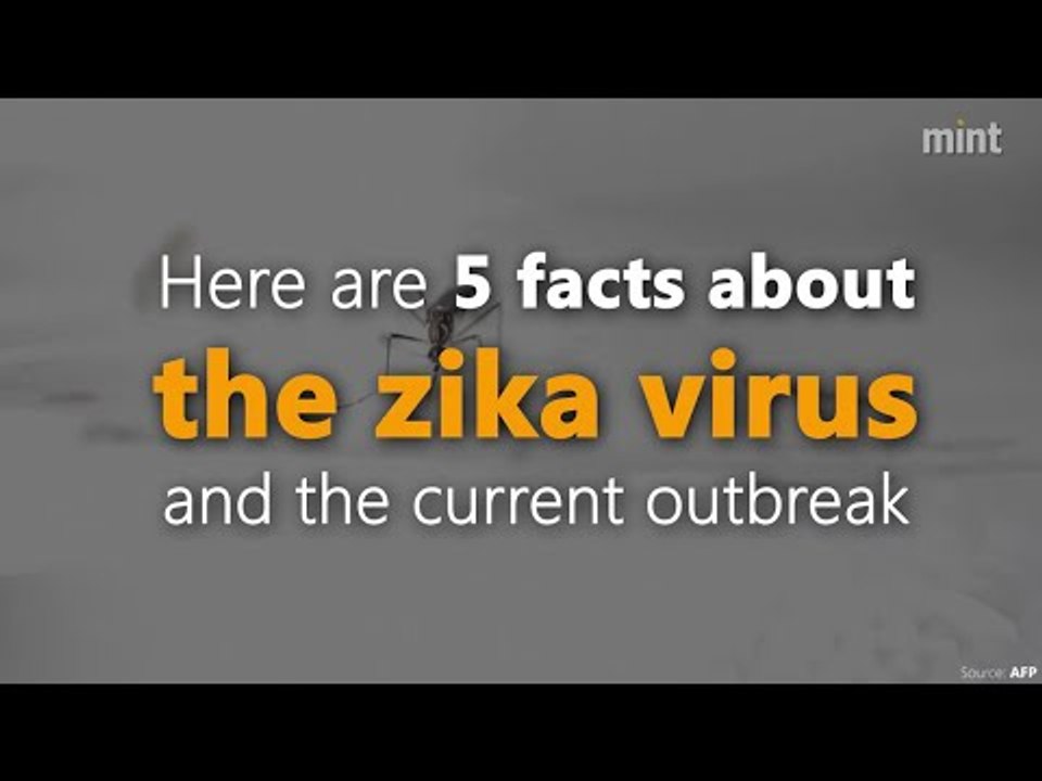 5 facts about the Zika virus and the current outbreak
