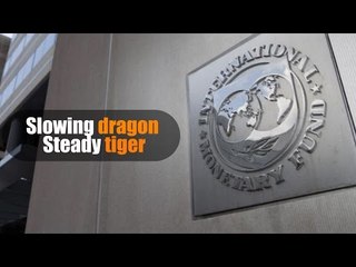 Slowing dragon, steady tiger