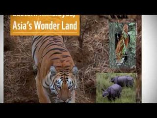 211 new species discovered in Eastern Himalayas during 2009-14 : WWF