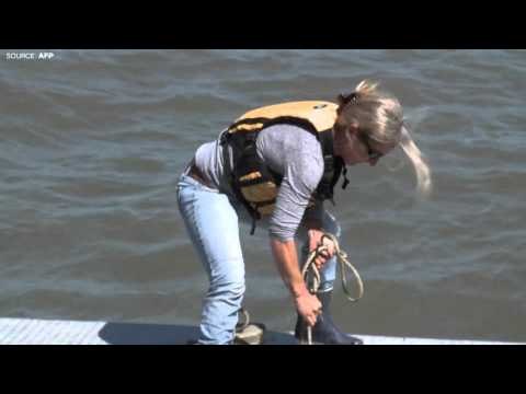 Ford, Colgate rated among top firms on water security