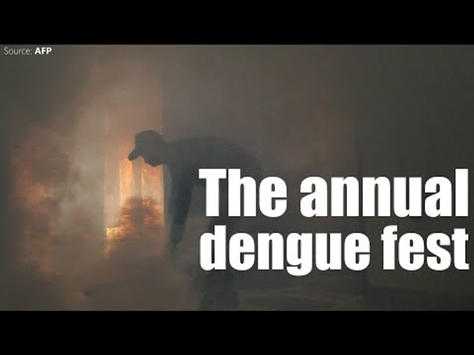 The annual dengue fest