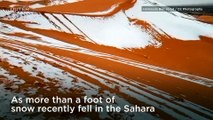 Rare Sahara Snowstorm