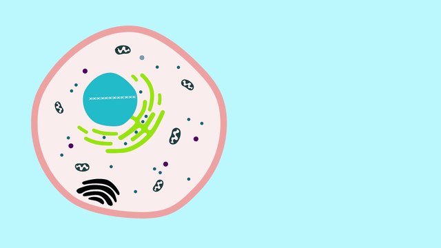 CRISPR/CAS9 : une méthode révolutionnaire expliquée par l’institut Inserm