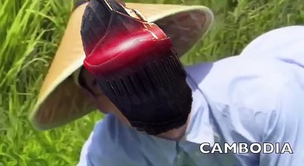 Rstart Vs The Pursuer  Troll Edition Troll moments from Dark Souls 2