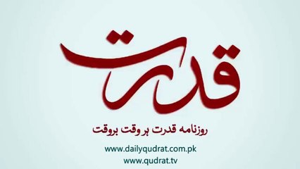 Apple's annually announced introduction of iPhone three new models