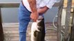 Il peche un énorme black bass à la main en l’appâtant avec un petit poisson
