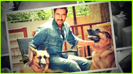 Bollywood celebrities and their Cute Pets | Salman khan | Anushka Sharma
