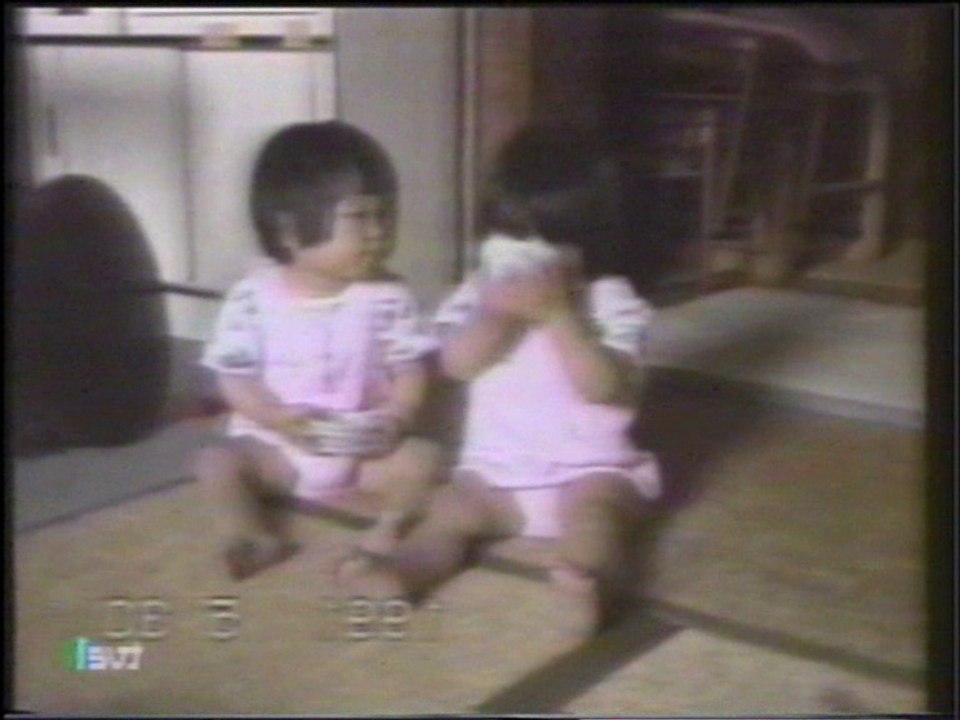 Videos de Primera 1 Alfonso Arus toros japonesitos