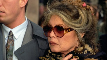 La lettre assassine de Brigitte Bardot à Nicolas Hulot