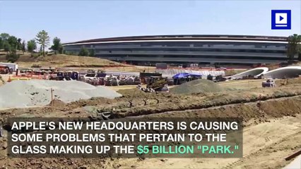 Apple Employees Keep Walking Into the Glass Inside of New Offices