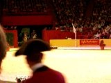 école royale andalouse 4 ecoles d'art equestre bercy