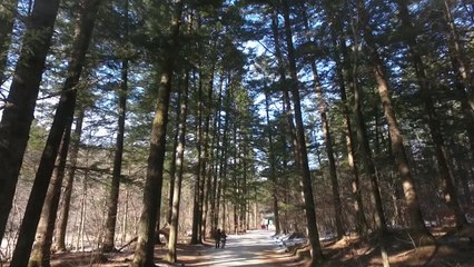 걷기좋은 국립공원 5곳 선정..."겨울 정취 즐기세요" / YTN