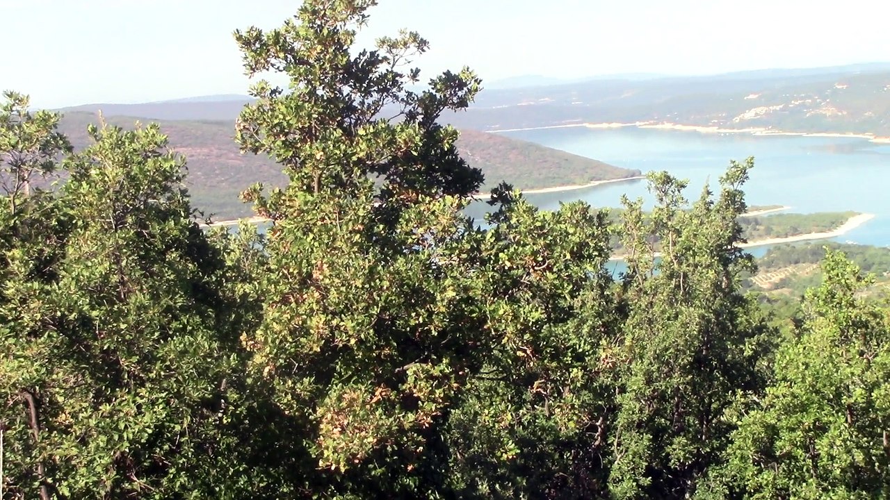 Aiguines-Lac de Ste-Croix 2017 (1)